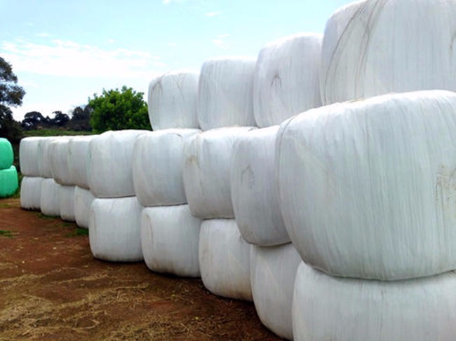 使用牧草膜有什么優(yōu)勢?貴越包裝來為您詳細解析