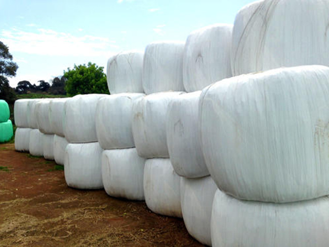 使用牧草膜有什么優(yōu)勢?貴越包裝來為您詳細(xì)解析