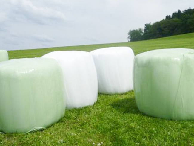 貴越包裝為您淺析牧草膜的應(yīng)用和特點(diǎn)