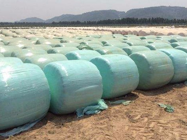 貴越包裝老告訴您牧草膜有何用途