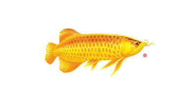 貴越包裝合作客戶(hù)（九）